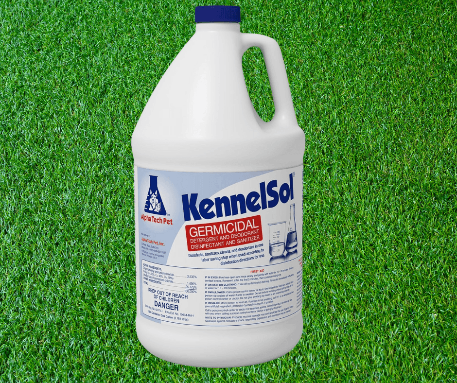 Weekly Service 5+ Dogs