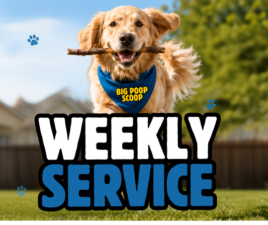 Weekly Service