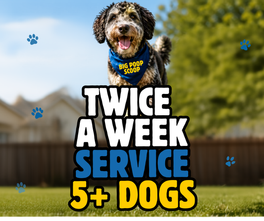 Twice Week Service 5+ Dogs