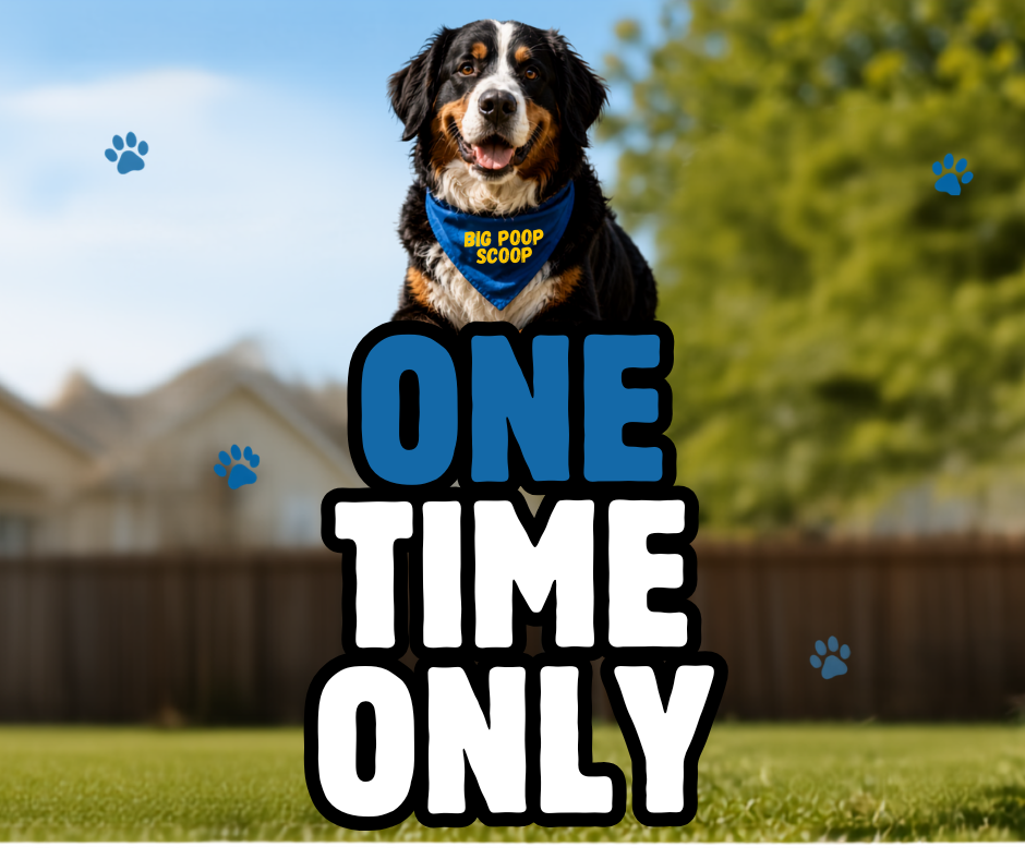 One Time Service