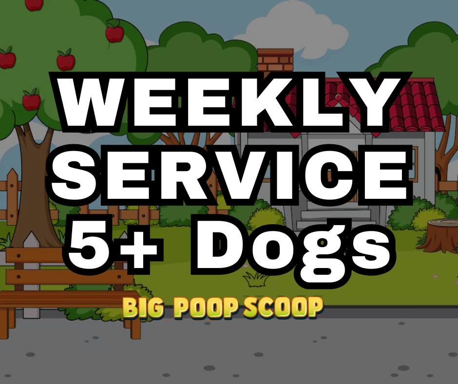 Weekly Service 5+ Dogs
