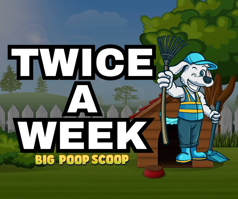 Twice A Week