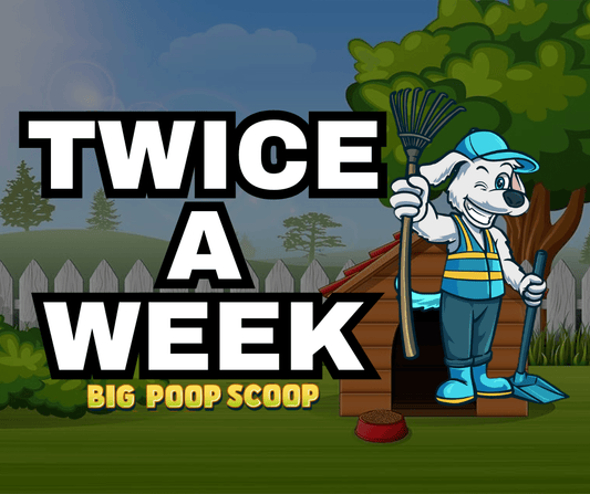 Twice A Week