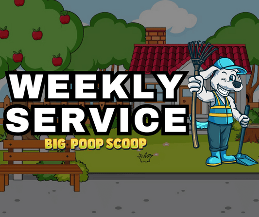 Weekly Service