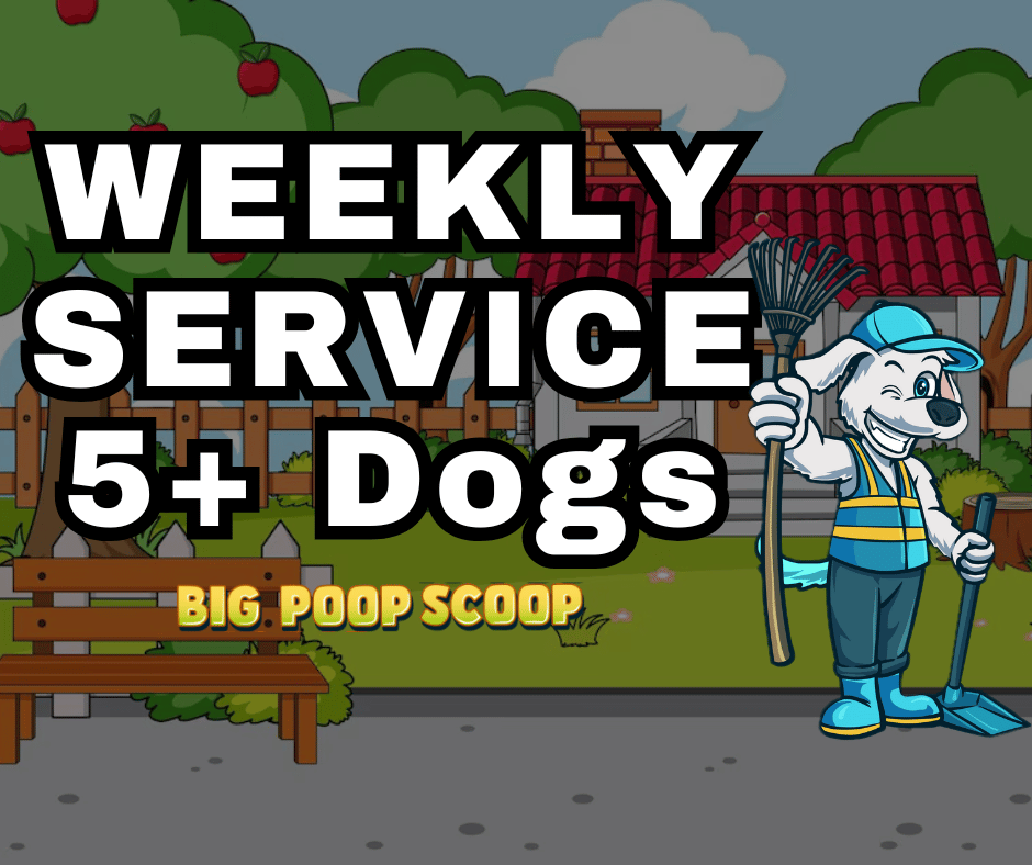 Weekly Service 5+ Dogs