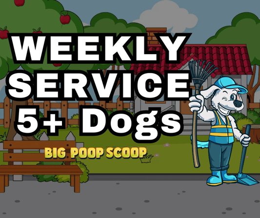 Weekly Service 5+ Dogs