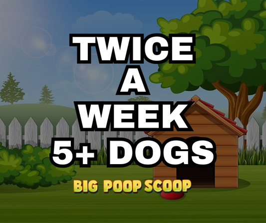 Twice Week Service 5+ Dogs